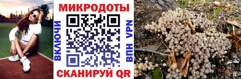 Псилоцибиновые грибы GOLDEN TEACHER  Севск 